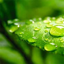 Biodiversité