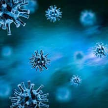 Virus